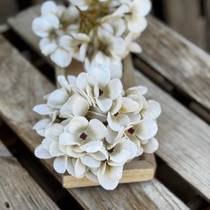 473c88d3 ed9f 4284 826b 4e30beb4453f