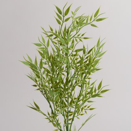 a8f97a89 210c 4367 ba6b a9f96113803e