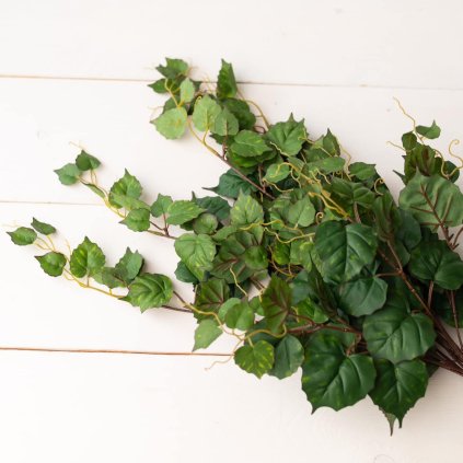 5eed7ad4 00b1 479c 8f81 4d1f0d3ff141