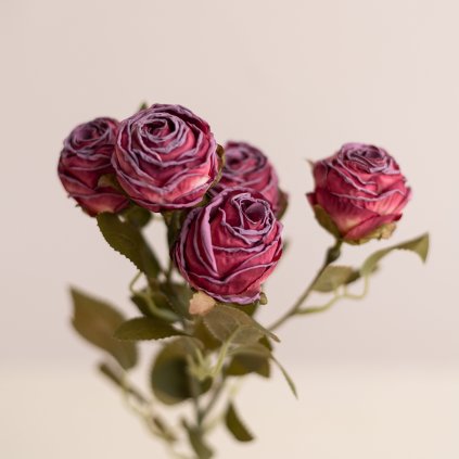 992d8ee1 6a02 4194 a5ef d1009af7612a