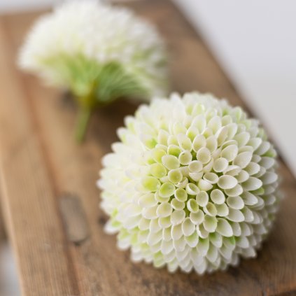 8f8246a0 f413 4940 bd18 a86328d1d2db