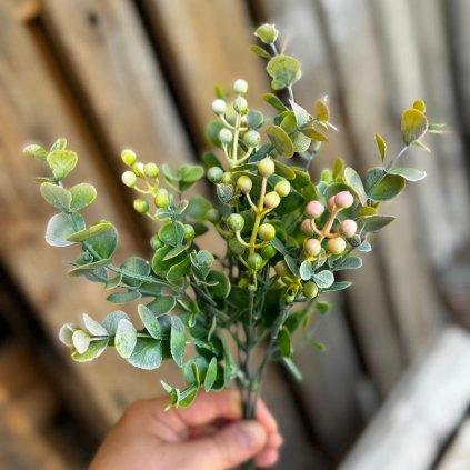 943325cc e7b8 44c6 b54d 51d955ae9ad0