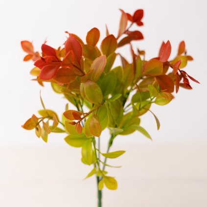 husta-kyticka-listocky-s-oranzovymi-koncami-34cm-5-stoniek