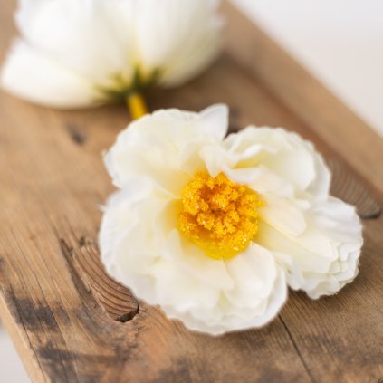 8d1a8a15 9b31 43bd a988 9ae02678325f