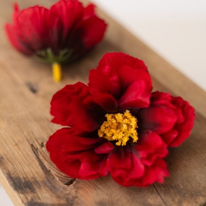 43f1206c 9074 4a9f 93c6 96b8cc540579