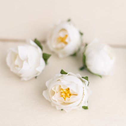 4c2c09b8 de87 40c2 a8c6 fe0b4cb74640