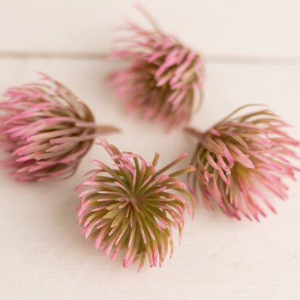 6772c86f 057a 4d8d a203 5a3697c1e4eb