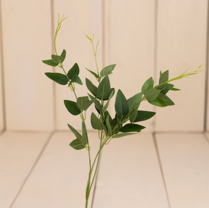 13c1e0f9 bf9f 4f01 b5fb f5e68a0c1768