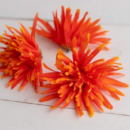 173efd4c 6e99 4959 870d 44c022f344ee