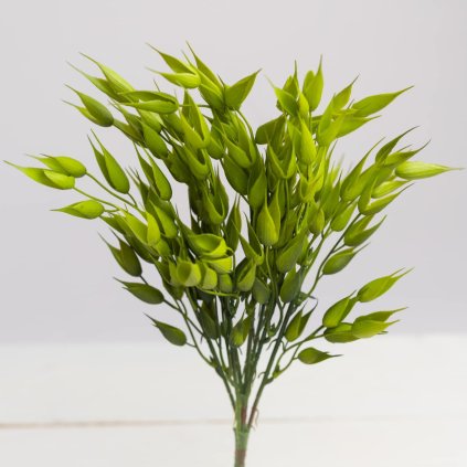 2efddbf1 f85b 4438 9567 b32ca42f111c