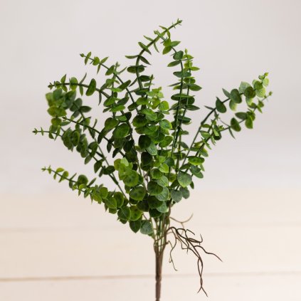 e19ef1eb 9d0b 47b2 9c82 ba035edd08c0