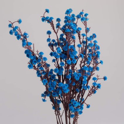 4a007f15 2425 4770 b8f4 3f98a58a10db