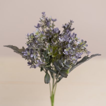 a00cbf72 c93c 42f5 9d00 bddaa66e80cf