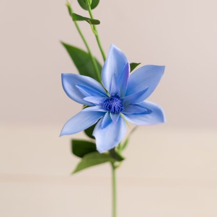 b8751615 f834 4faf a10f 6e1da5412186