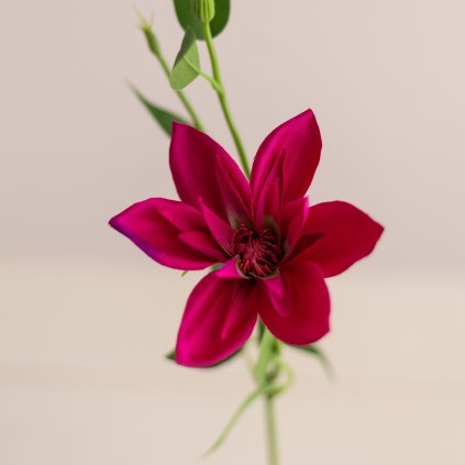 18ae3afb c6cb 4e9e 9991 2c4f60219c94