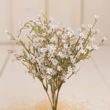 3448ce06 b08b 4e74 8654 4e842ac9684a