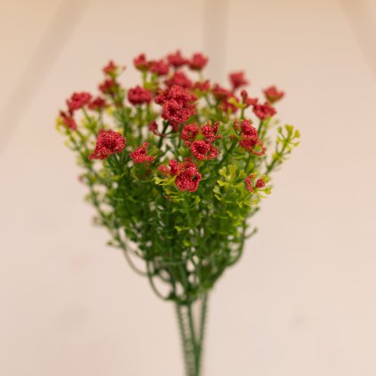 c9623bbc 78c0 4cd5 b38e 15e51260fd9c