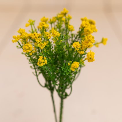 5e235ac9 fbdf 4233 add8 9cc474e45746