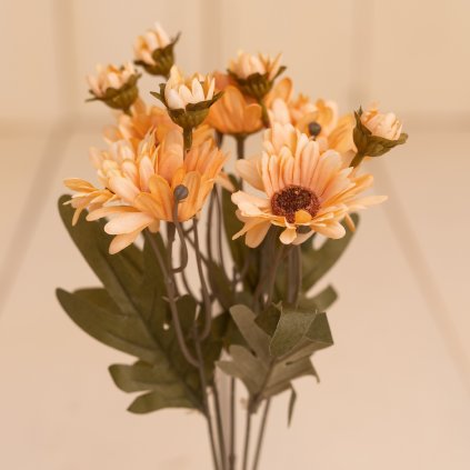 e1c90a46 f89f 4f77 a84c ab481c3e1b52