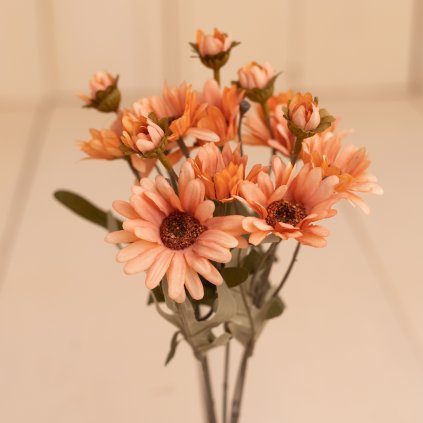 1b1c2804 b4c9 407b 9f79 613f9a19665f