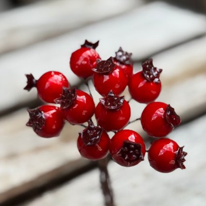 7b99090b a72c 4d1d 8c2d 307c7b0fc41a