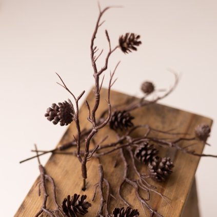 3bd84e0b 5d61 41a6 9f92 6338377e1307