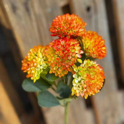 cf053765 7aa7 40b5 9394 9ab85e69b737