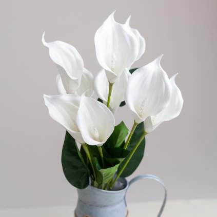 c6696820 cf98 477c b5d4 47d5ba0eb1a9