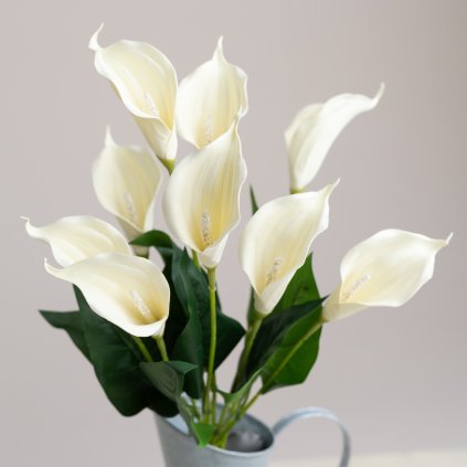 63d783fc 4856 4228 af02 615ece586db2