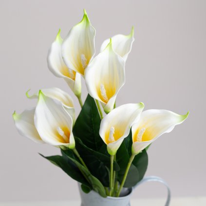 30c0fd2c 6b88 4d19 be5f 33292469d26b