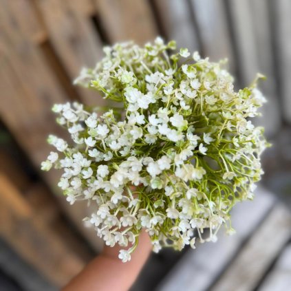 7896d0b4 069a 4db9 91a8 55d61c02d855