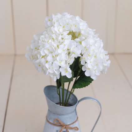 7c37df6b d2aa 4e0e a191 cbba723e8e4b