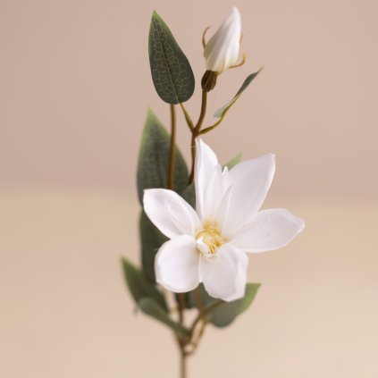 e536cf12 0004 4f06 9264 49ef1fad0dbb