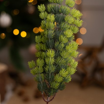 5d08023e e014 43e8 a910 ff6989939eb2