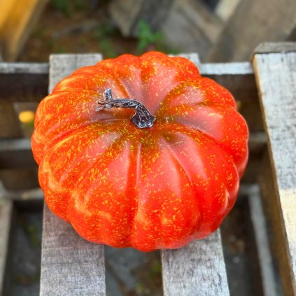 ea7fb6e9 dc6b 4a73 a93d 6aefd9b6711c