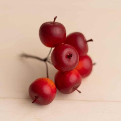 50f10411 181d 4e6c 9fdf d7b63d40aa54