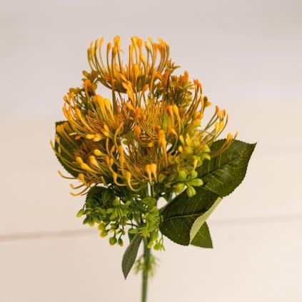 d17320f1 436b 4087 94e0 6ca13422aa40