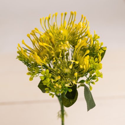 6595f2a6 76e2 40b9 ace1 de5e50bb231f