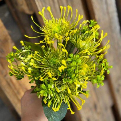 50dc2b3b b31c 423a a086 303269c8ceda