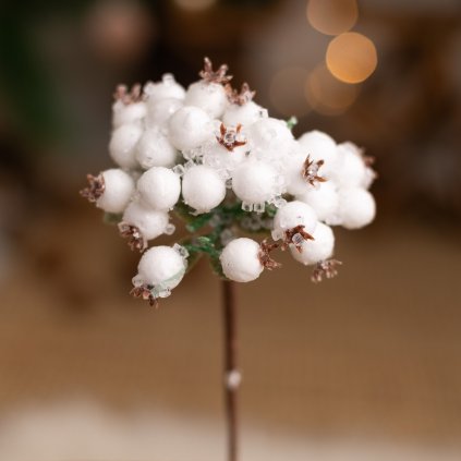 73911c0d 210d 4890 8d91 65af0225c145