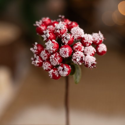 d18383c2 416e 4590 a019 4b838c2cb296