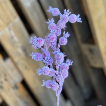 6d26d654 67ef 4ccd a03e 2916adda9391