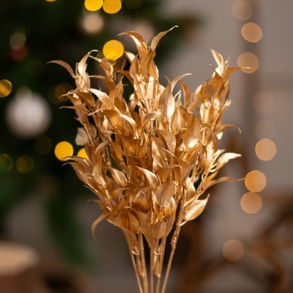 1ec9d882 f21b 442a 80f4 522038c7cc4f