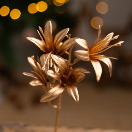 9e5f79d9 04ef 41be 95d8 4c1883cd45be