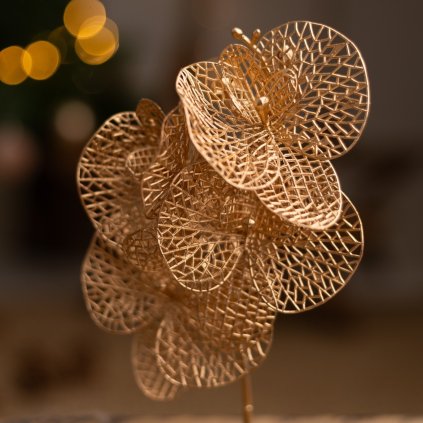 9a1ca539 562e 468d bab7 96786e9106fa