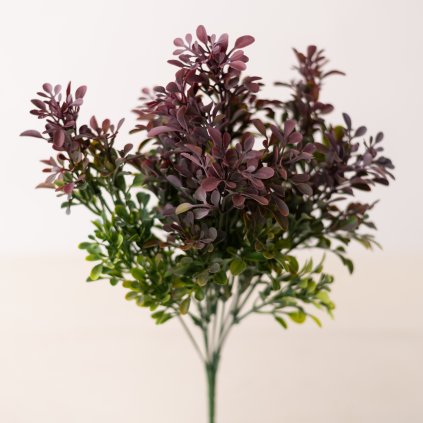 Kytička drobné lístočky hustá BORDOVÁ