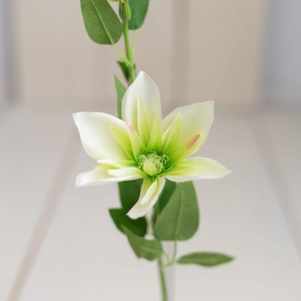 ee3ef42a 10eb 4fd3 a047 fb3368cb8aa0