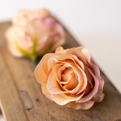 146150f6 81e2 4730 b267 7ad4d245f31d