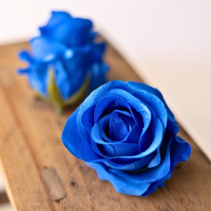 68f7b479 1338 48ef 9aa3 429efc4e455f