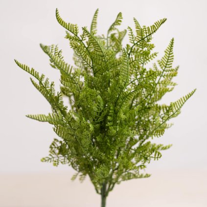 53554875 7ac1 4dda 814f 5cbc5451ac03